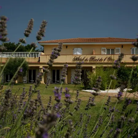 Hotel Du Pont De L'Oso Hotel 3*